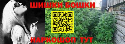 стаф Коломна