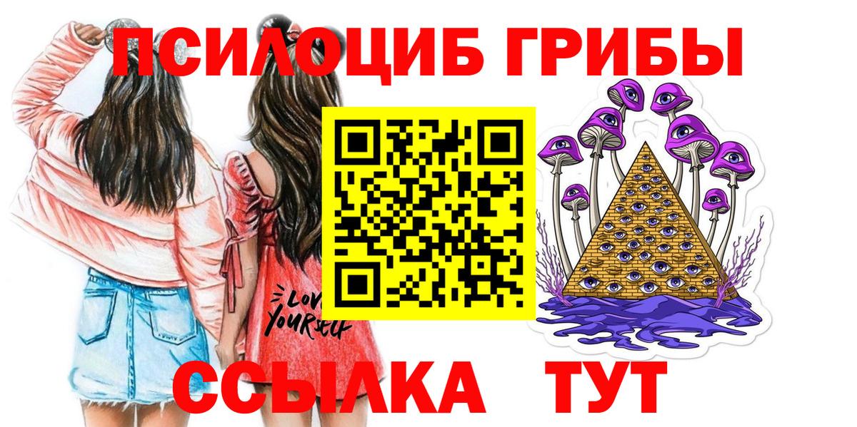 Егорьевск  Галлюциногенные грибы прущие грибы  Вход с VPN 